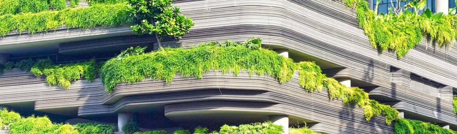 gray concrete building covered trees