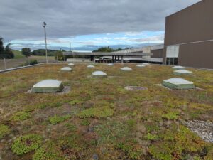 Toiture plate végétalisée Etanchéité toiture plate végétalisée